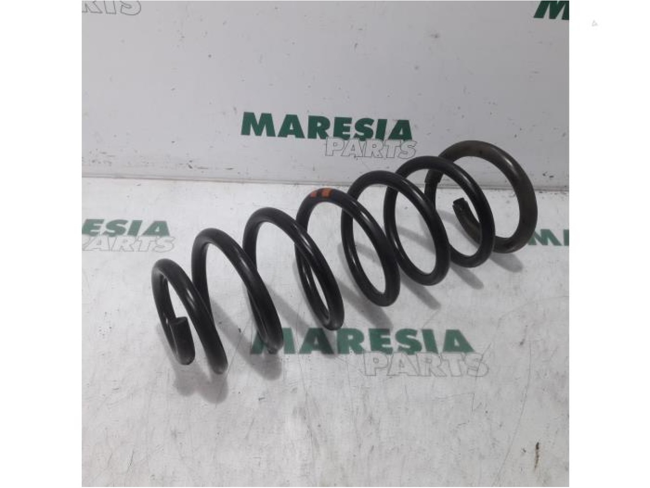 Fiat - Scudo - Rear coil spring