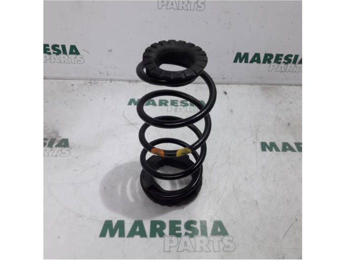Fiat - Punto - Rear coil spring