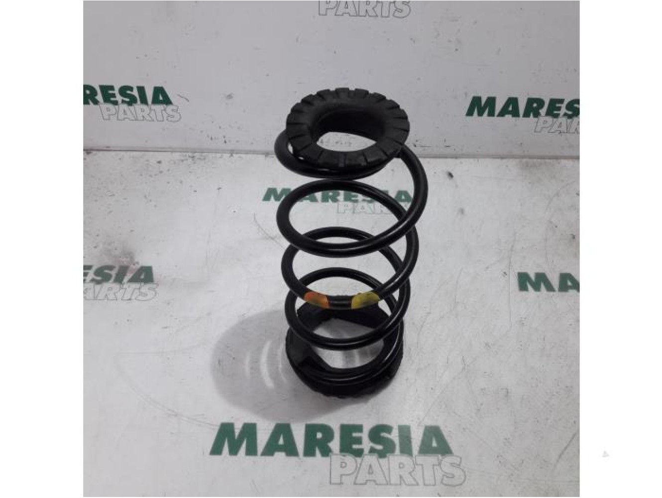 Fiat - Punto - Rear coil spring