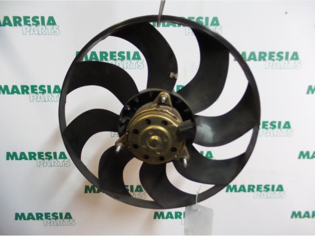 Fiat - Stilo - Kühlgebläse Motor