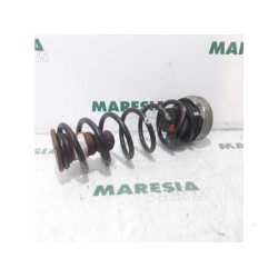 Citroen - Berlingo - Rear coil spring