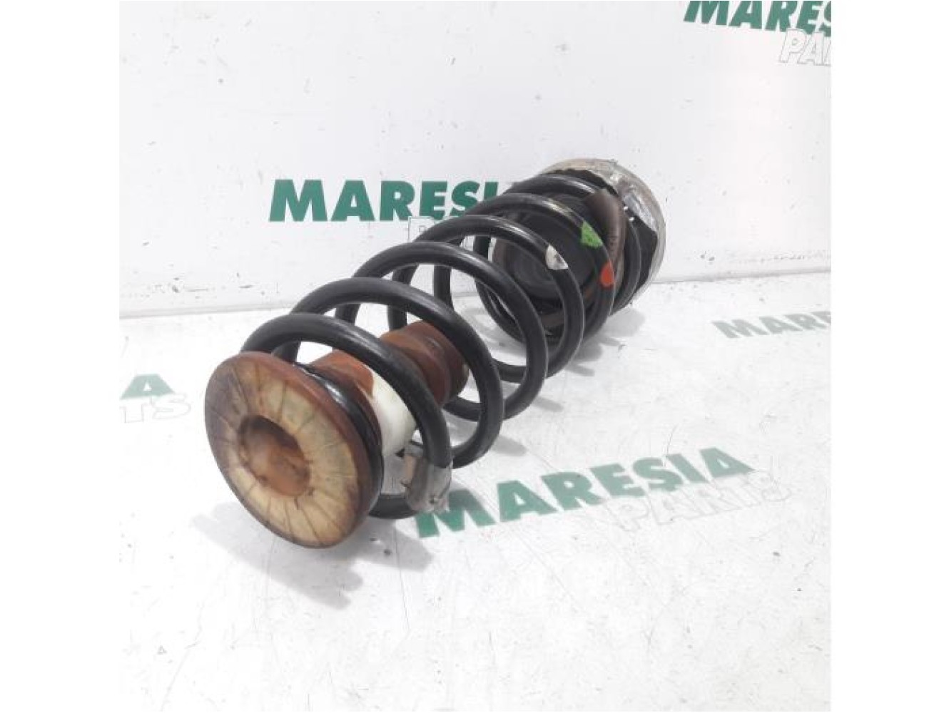 Citroen - Berlingo - Rear coil spring