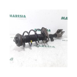 Citroen - Berlingo - Front shock absorber rod, right