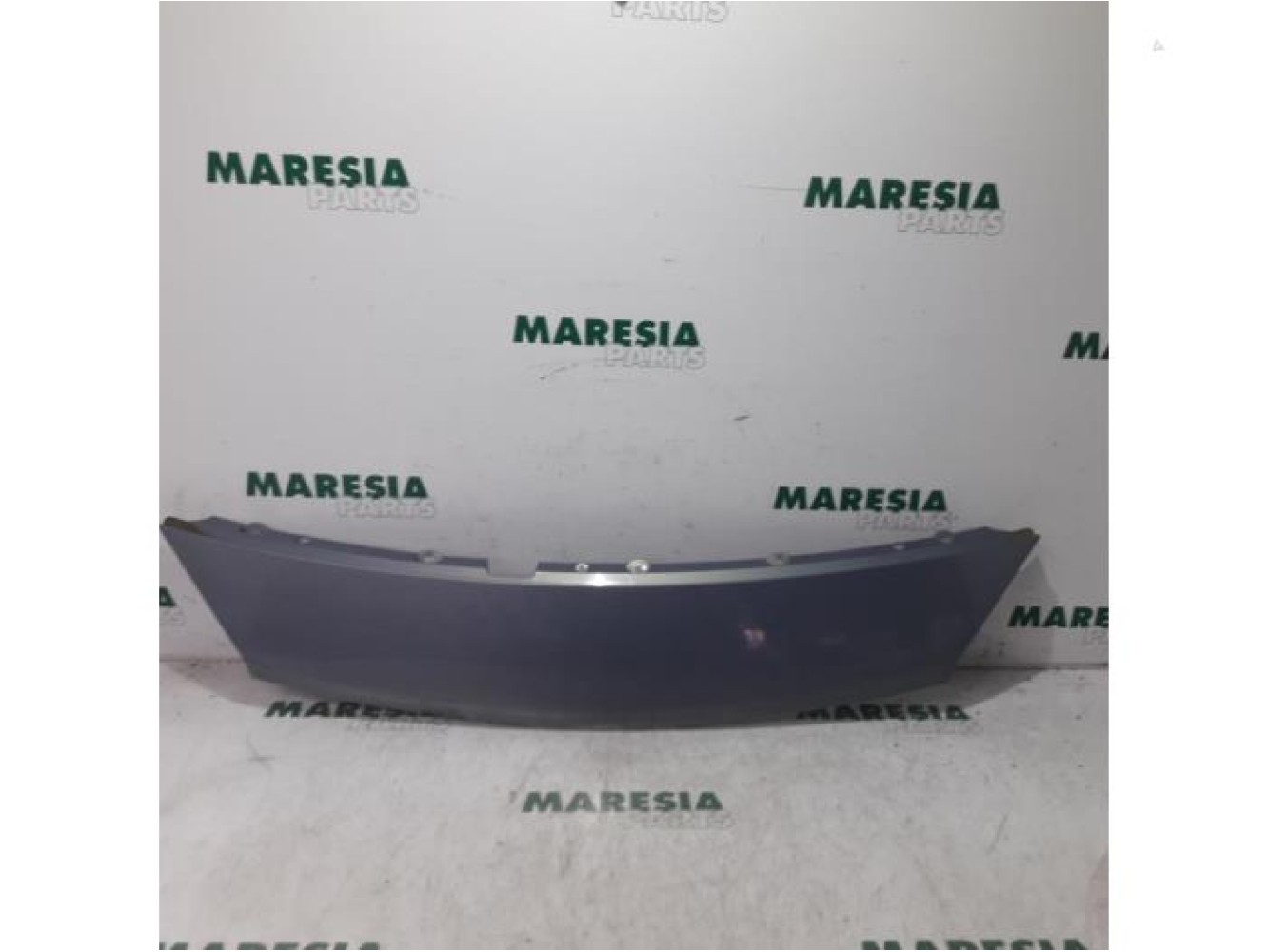 Renault - Megane Scenic - Grill
