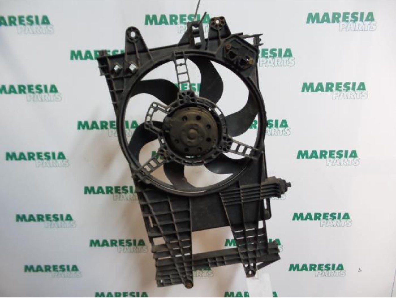 Fiat - Punto - Kühlgebläse Motor