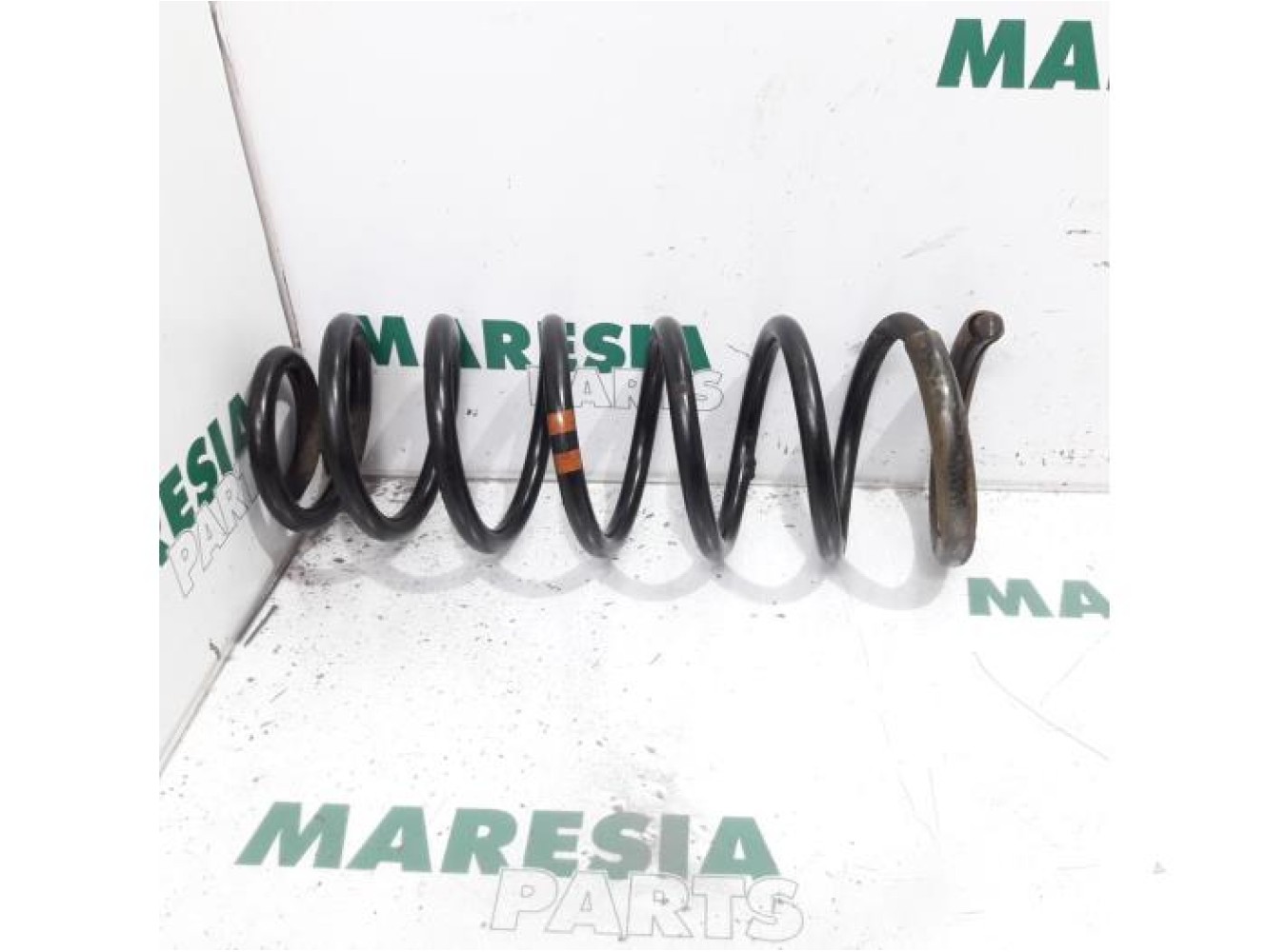 Fiat - Scudo - Rear coil spring