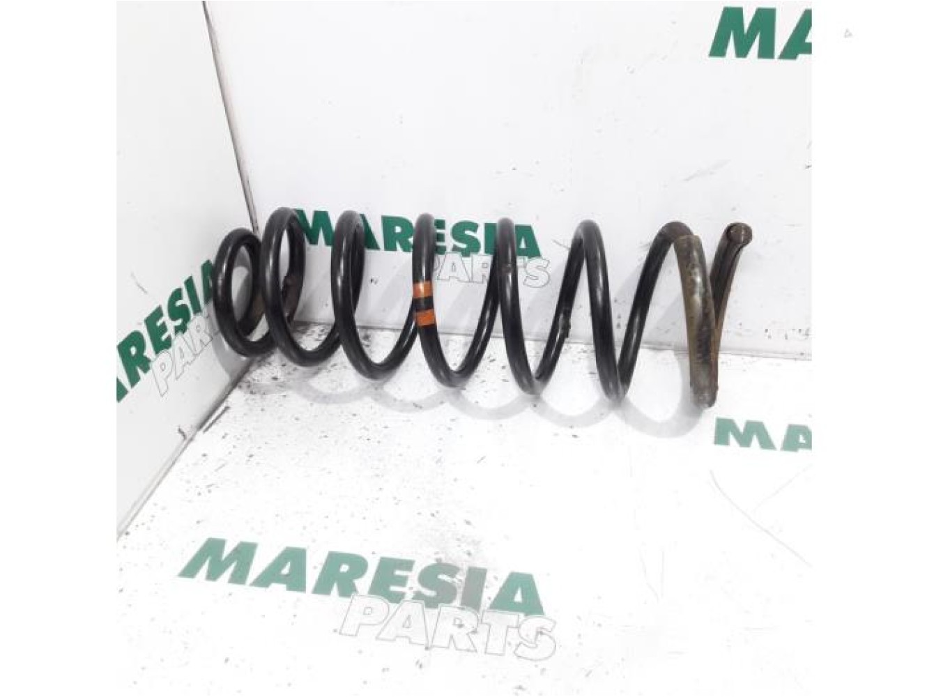 Fiat - Scudo - Rear coil spring