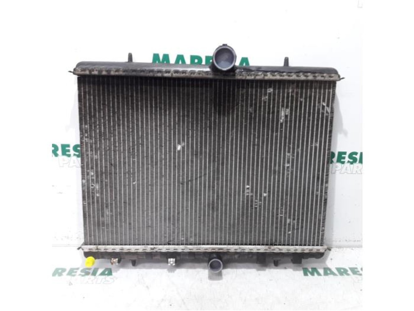 Fiat - Scudo - Radiator