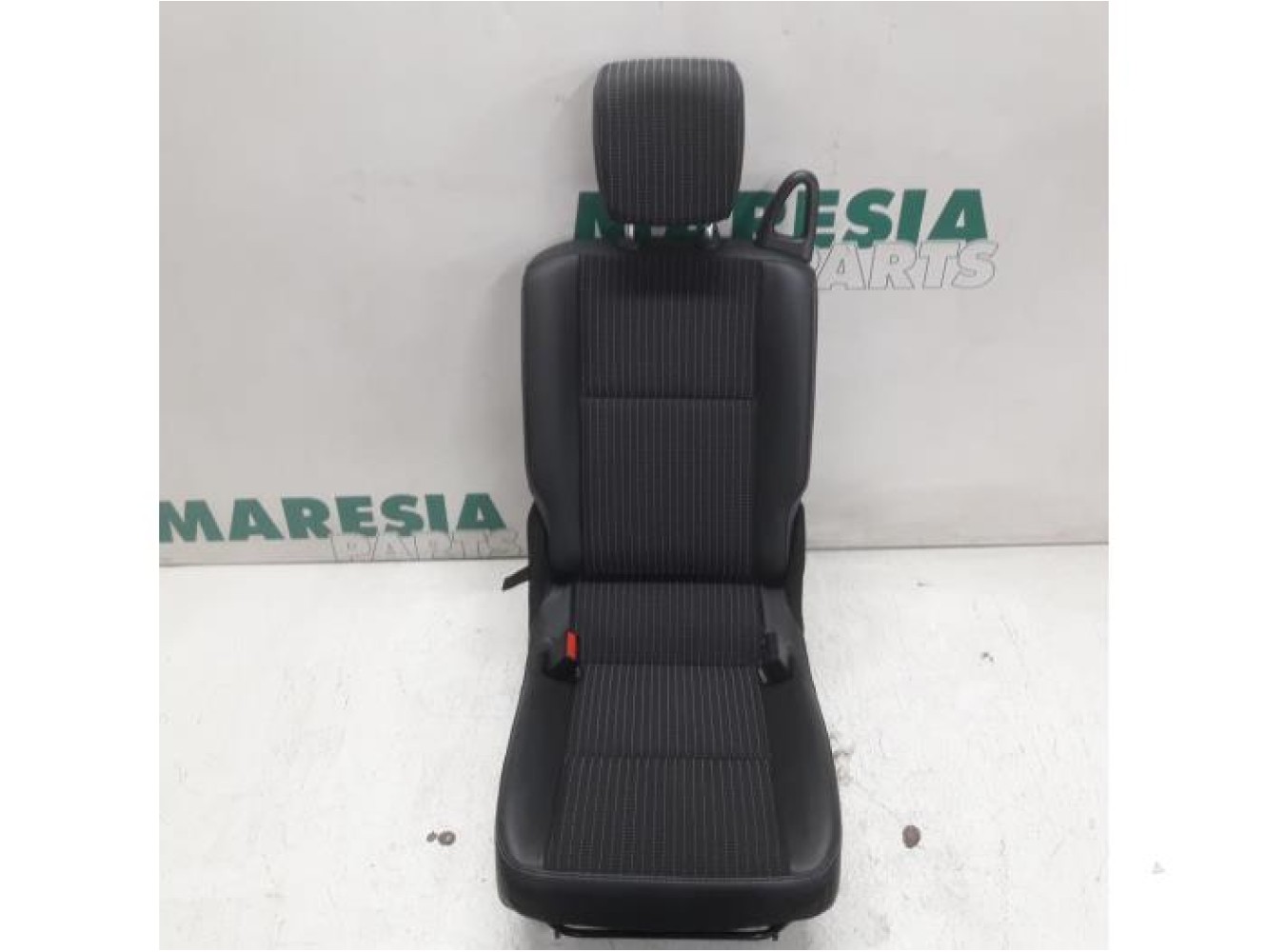 Renault - Scenic - Rear seat